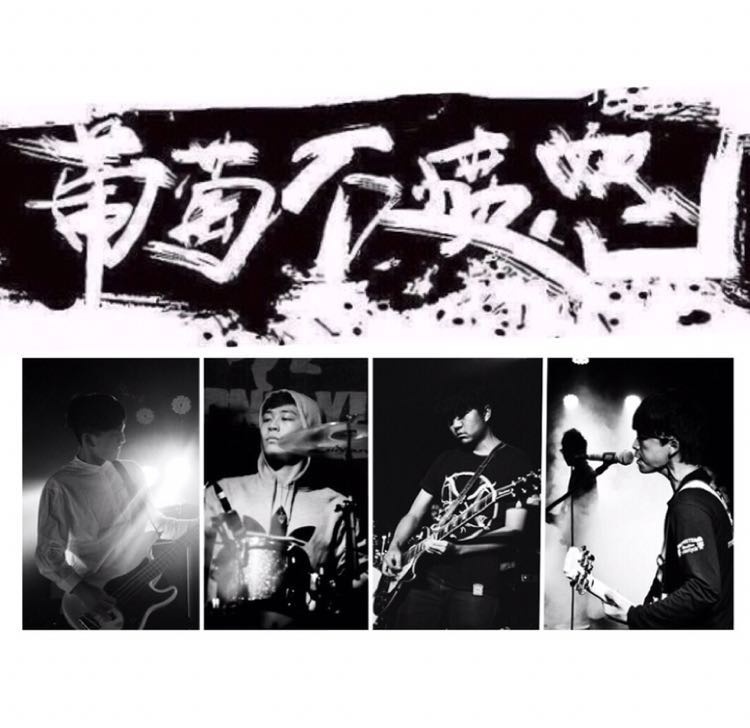 “葡萄不憤怒”樂隊(duì)新歌首發(fā)，一只騎著鯊魚沖浪的“貓鯊手”