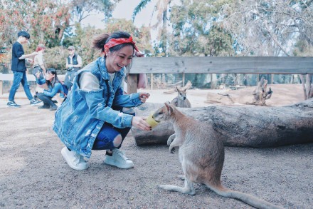 鄧紫棋悉尼演唱會結(jié)束后投喂袋鼠，卻被嚇到大叫！