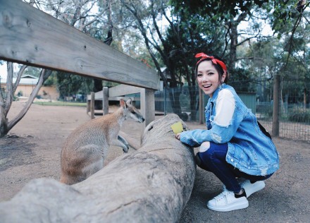 鄧紫棋悉尼演唱會結(jié)束后投喂袋鼠，卻被嚇到大叫！