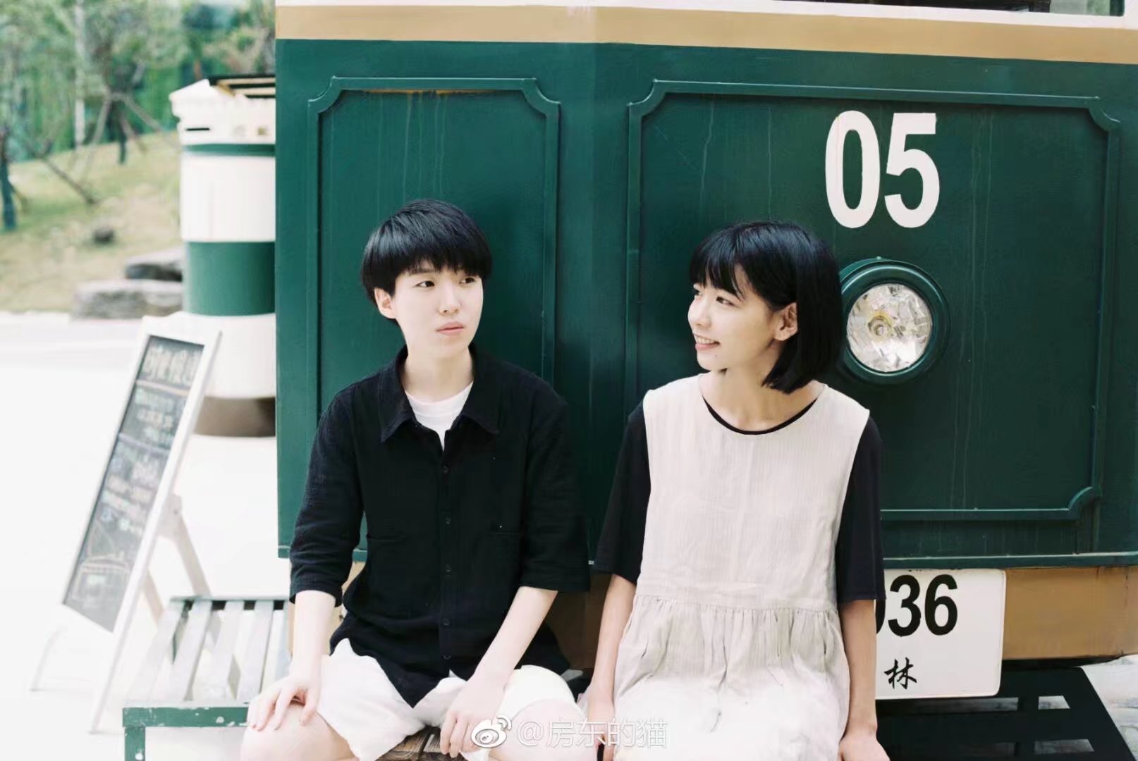 房東的貓：喝杯秋天的酒，談場(chǎng)動(dòng)聽的戀愛